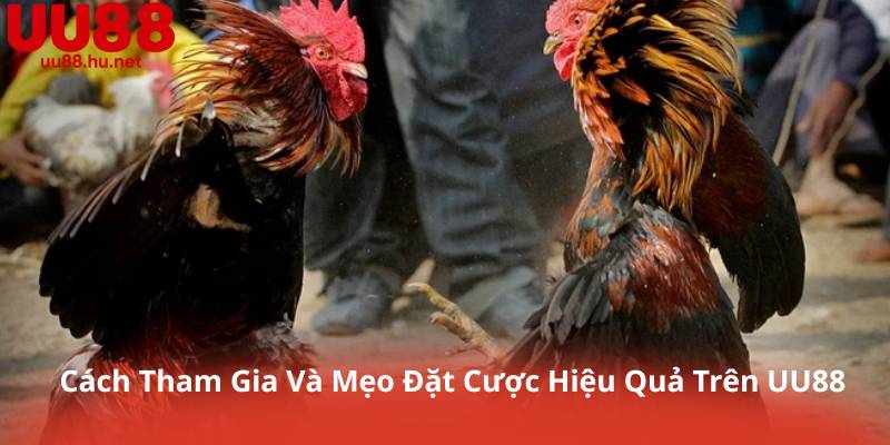 Cách Tham Gia Và Mẹo Đặt Cược Hiệu Quả Trên UU88