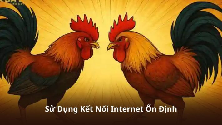 Sử Dụng Kết Nối Internet Ổn Định
